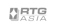 Visa partner logo